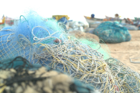 1660131229_1645693631_Discarded_fishing_nets_2