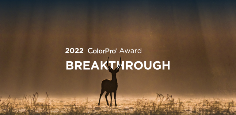Viewsonic ColorPro Award 2022 başlıyor